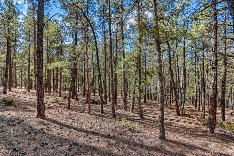 249 Territory Dr Lot 4, Pine, CO 80470
