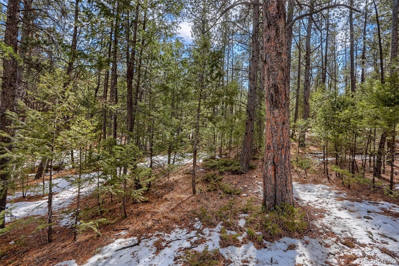 249 Territory Dr Lot 4, Pine, CO 80470
