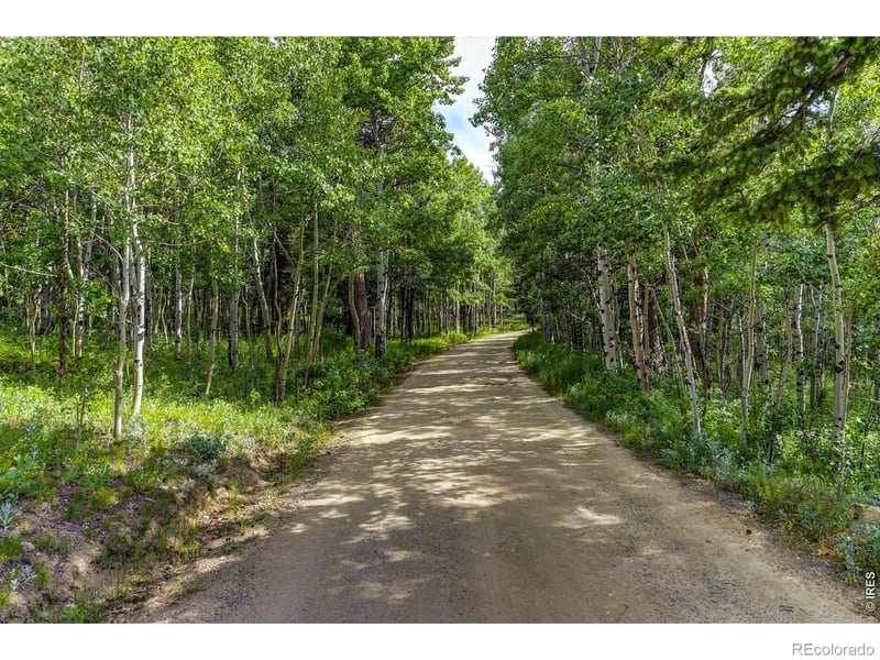 3153 Ridge Rd, Nederland, CO 80466