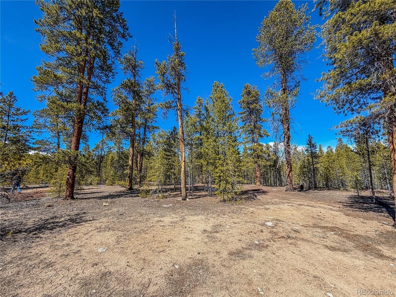 199 Cedar Dr Lot 182, Twin Lakes, CO 81251