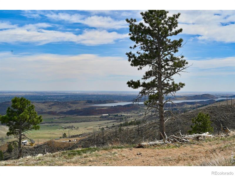 498 Helms Deep Rd, Bellvue, CO 80512
