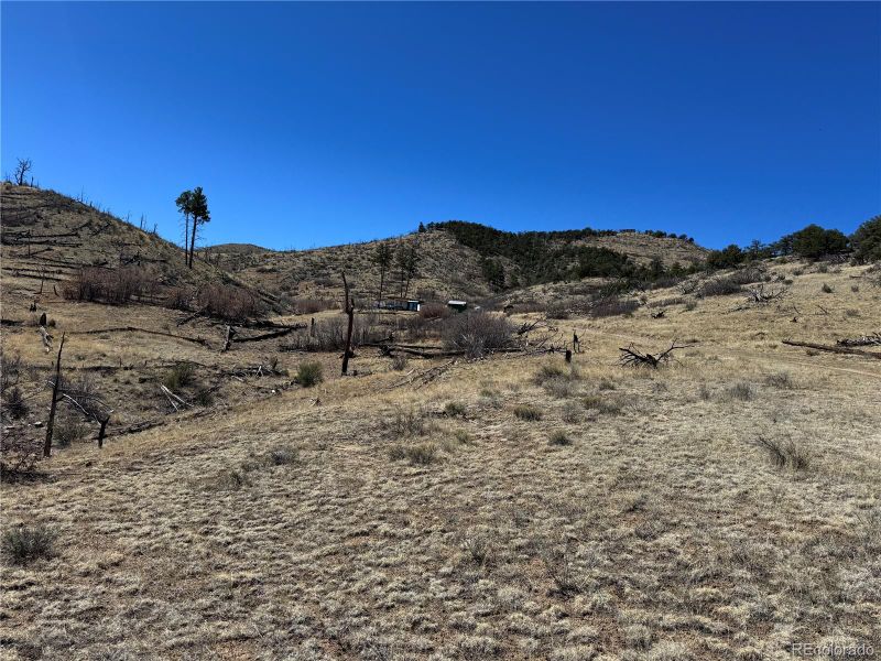 TBD 32nd F Pa, Cotopaxi, CO 81223