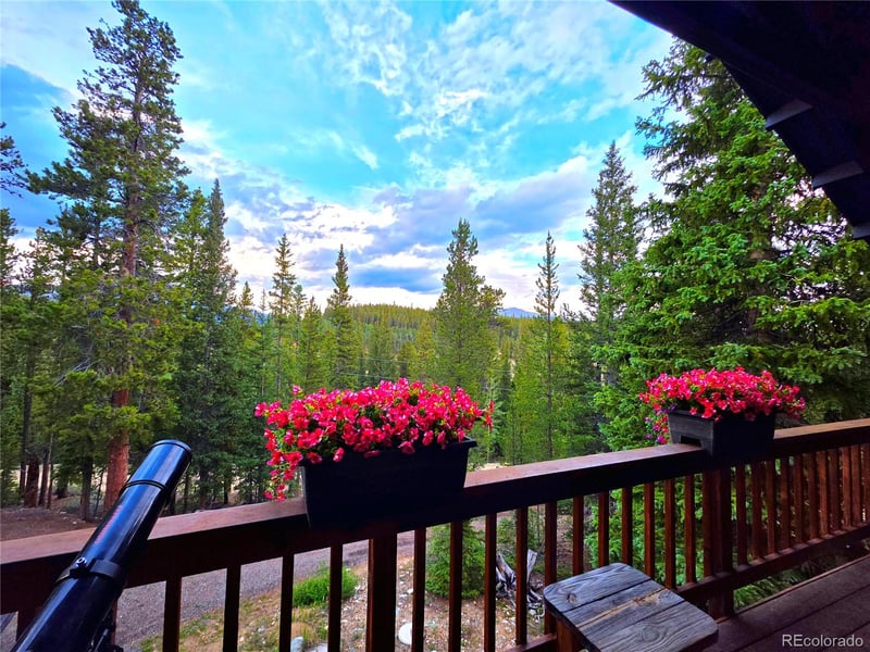 211 Pine Ridge Rd, Alma, CO 80420