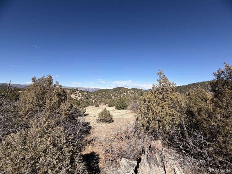 91 King Pl, Cotopaxi, CO 81223