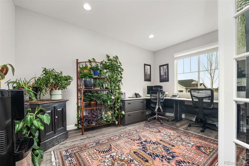 6749 Mentha Dr, Castle Rock, CO 80108