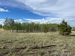 1599 Campfire Rd Lot 707, Hartsel, CO 80449