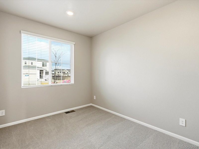 1218 Spring Creek Dr, Windsor, CO 80550