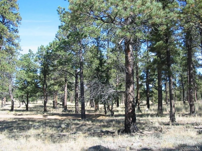 14794 Wetterhorn Peak Trl Lot 31, Pine, CO 80470