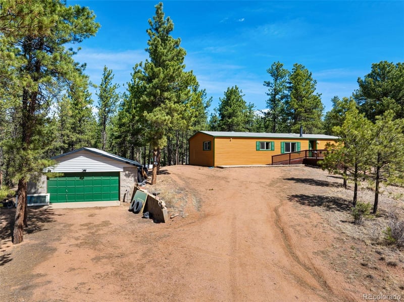 1299 Pikes Peak Dr, Florissant, CO 80816