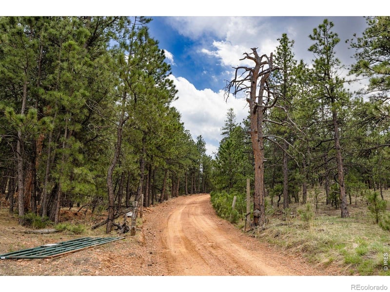 1312 Steamboat Valley Rd, Lyons, CO 80540