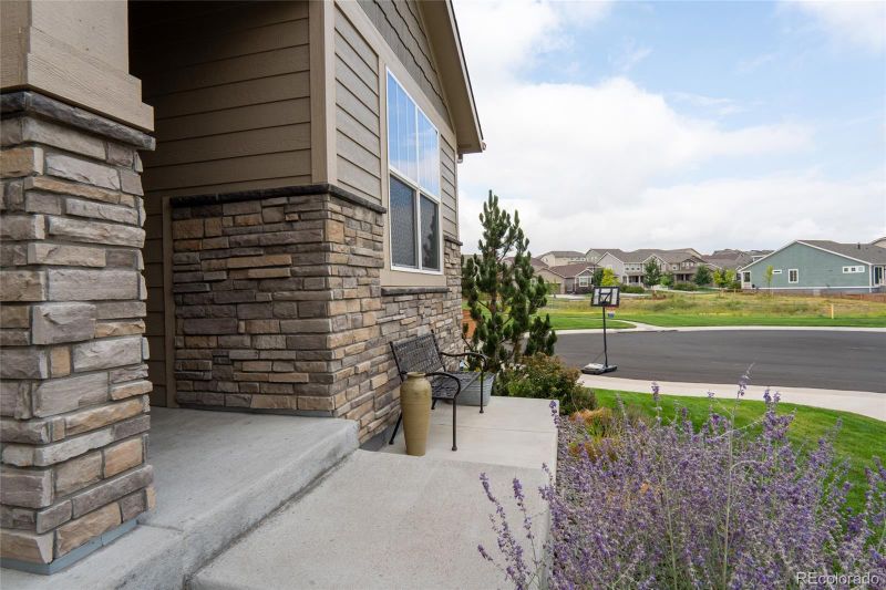 16216 Lanceleaf Pl, Parker, CO 80134
