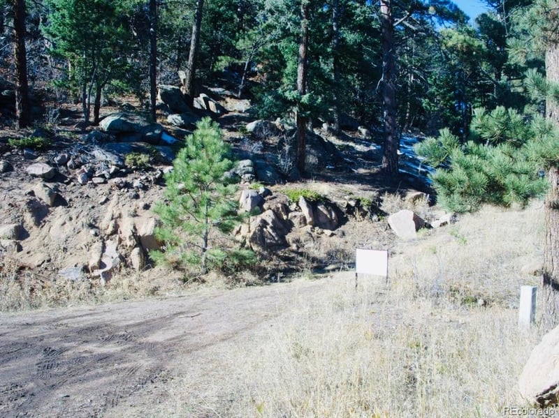 22076 High Springs Trl, Morrison, CO 80465