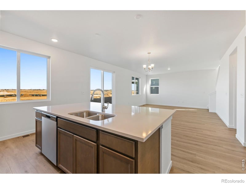 1448 Boyle St, Windsor, CO 80550