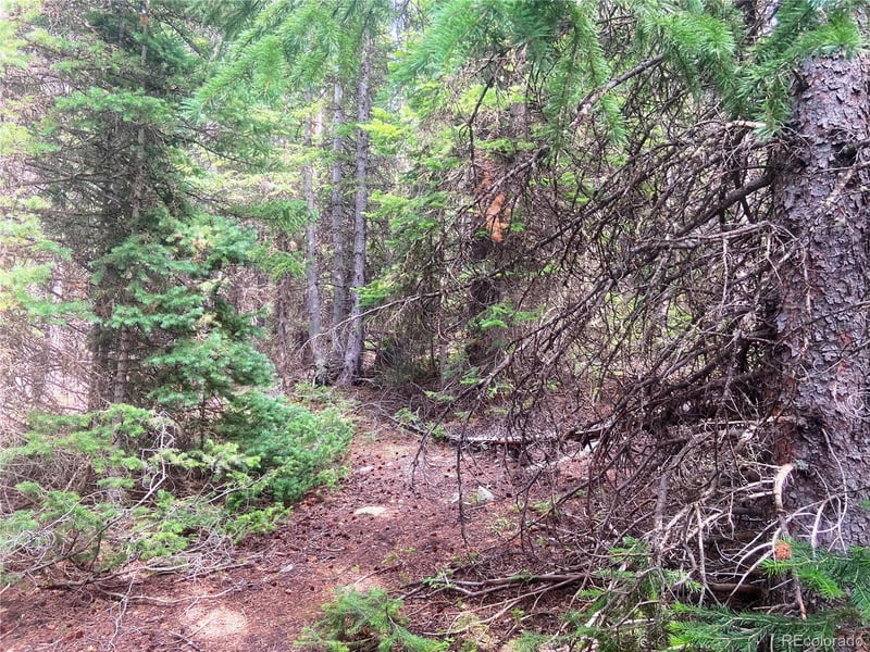 00 Fs 413 1 Lot 20109, Black Hawk, CO 80422