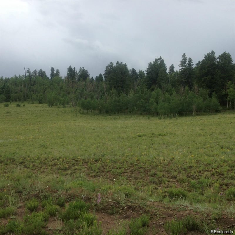 1681 Athapascan Rd, Hartsel, CO 80449