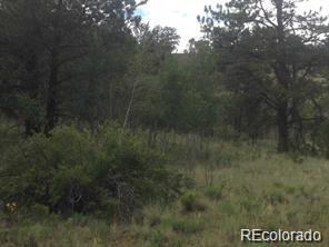 1681 Athapascan Rd, Hartsel, CO 80449