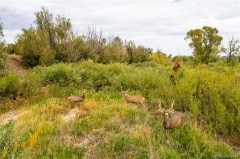 S Interstate 25, Castle Rock, CO 80104