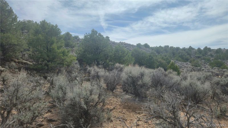 0 Bilby Rd Lot 2527, Fort Garland, CO 81133