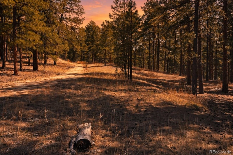 Wood Sorrel Rd, Larkspur, CO 80118