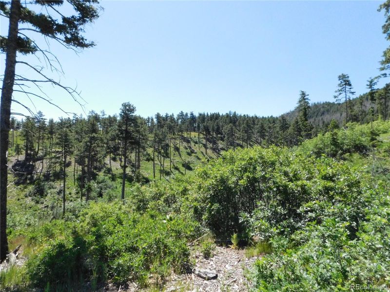 8249 Yuma Cir, Larkspur, CO 80118