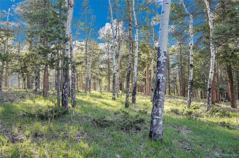 Molly Dr Lot #3 Lot 3, Conifer, CO 80433