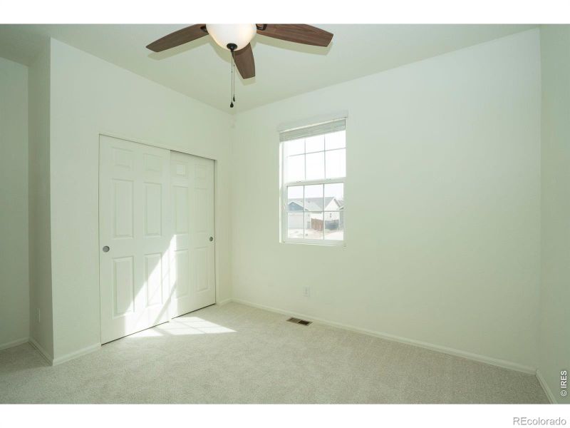 3610 Sunrose St, Wellington, CO 80549