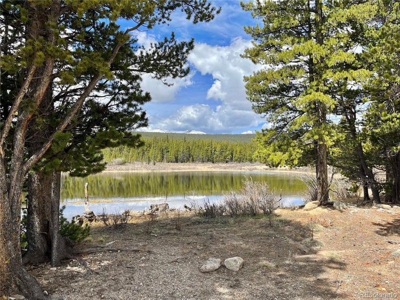 2203 Lakeside Dr, Fairplay, CO 80440