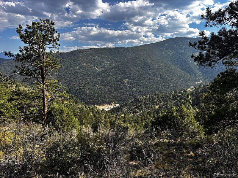 Lot 1 Eagle Mining Claim, Dumont, CO 80436