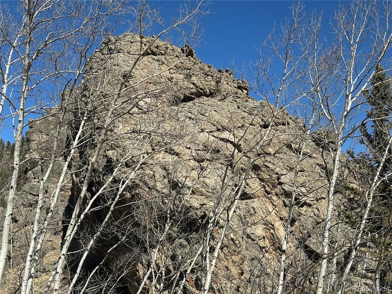 505 N Quarter Horse Rd, Jefferson, CO 80456