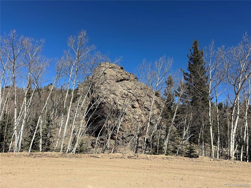 505 N Quarter Horse Rd, Jefferson, CO 80456