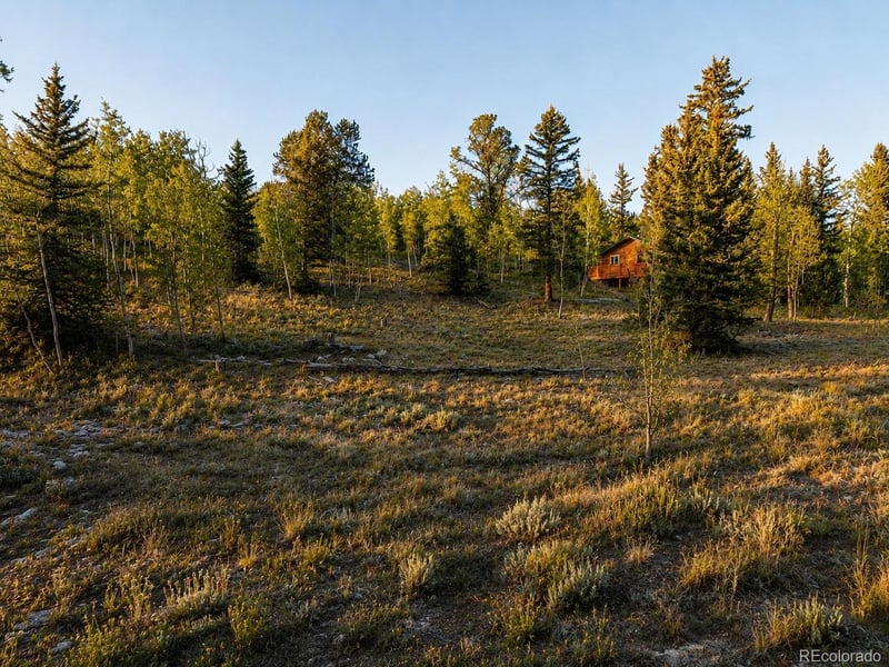 445 Warpath Rd, Como, CO 80432