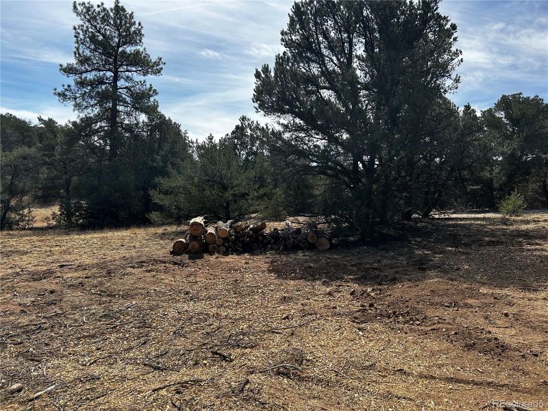 2065 Indian Wells Rd, Cotopaxi, CO 81223