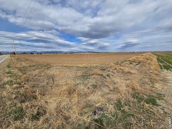 Loveland, CO 80538
