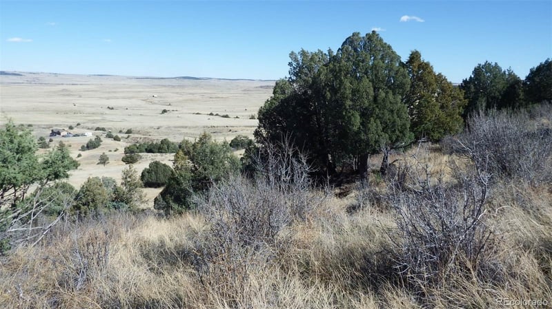 35584 Comanche Creek Rd, Kiowa, CO 80117