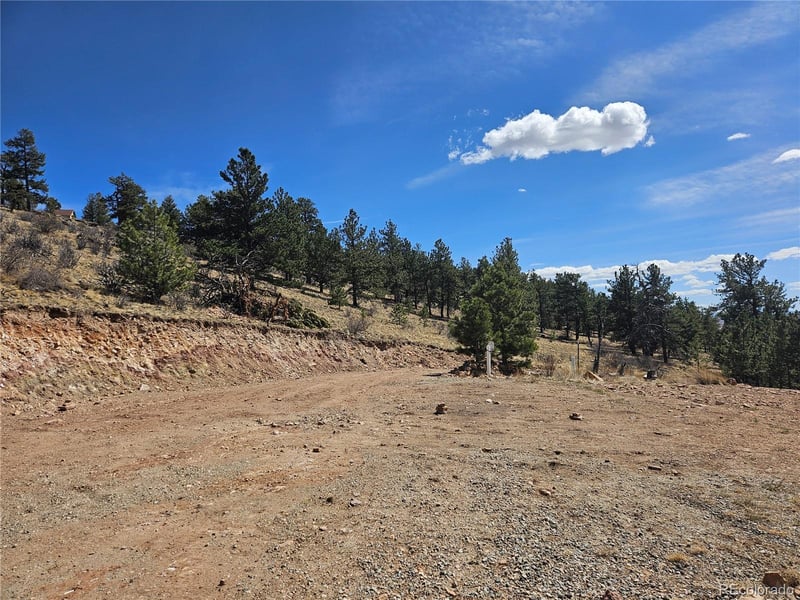 636 Bonell Dr, Fairplay, CO 80440
