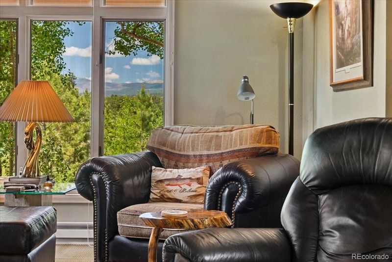 40 3 Lakes Ct, Red Feather Lakes, CO 80545