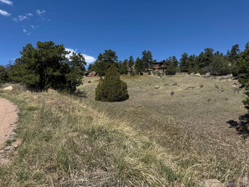 565 Le Conte Dr, Livermore, CO 80536