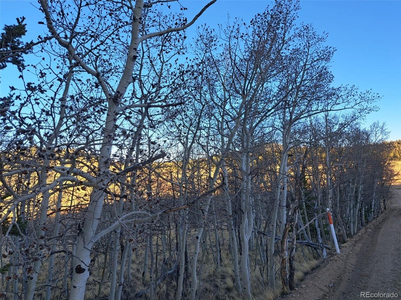 541 War Ln, Como, CO 80432