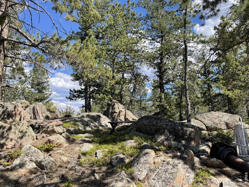 34 Shawnee Rd, Red Feather Lakes, CO 80545
