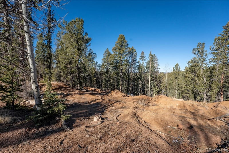 565 Fairview Dr, Woodland Park, CO 80863