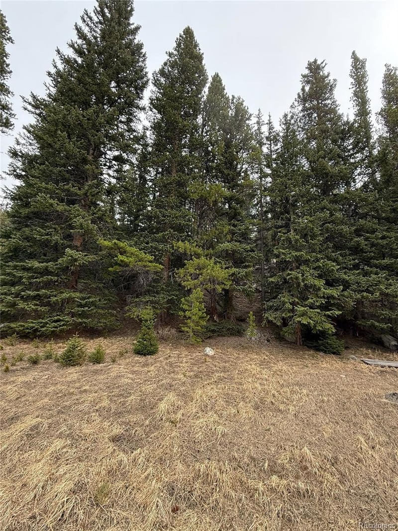 91 Lake Rd, Idaho Springs, CO 80452