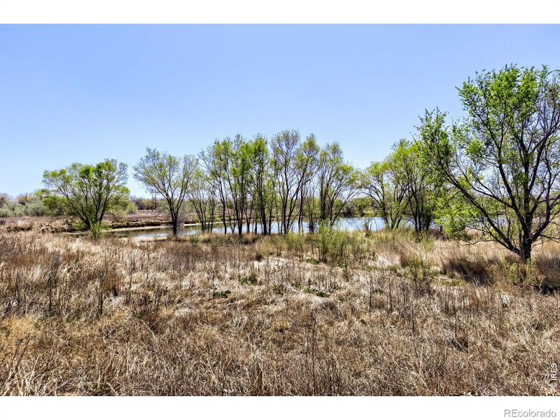 2958 Ash Ave, Greeley, CO 80631
