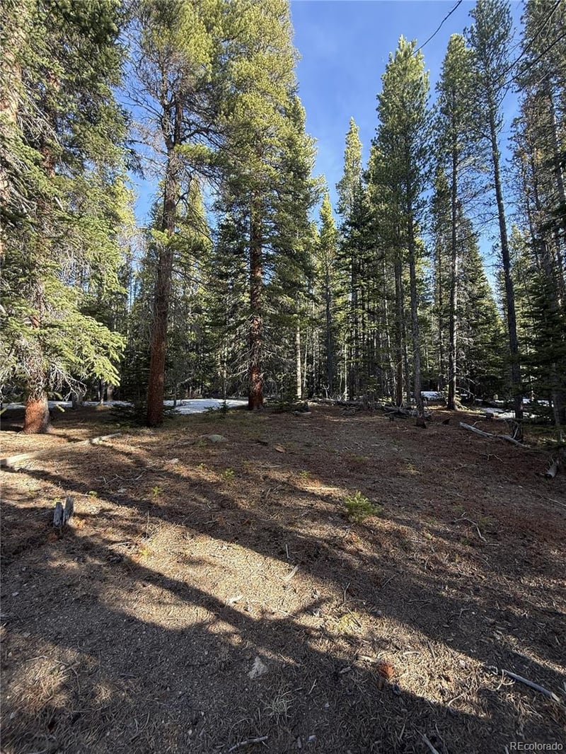 611 Silver Creek Rd, Idaho Springs, CO 80452