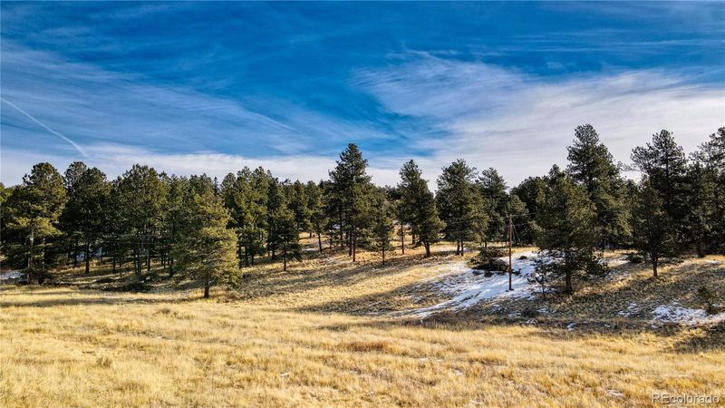 150 High Pasture Rd, Florissant, CO 80816