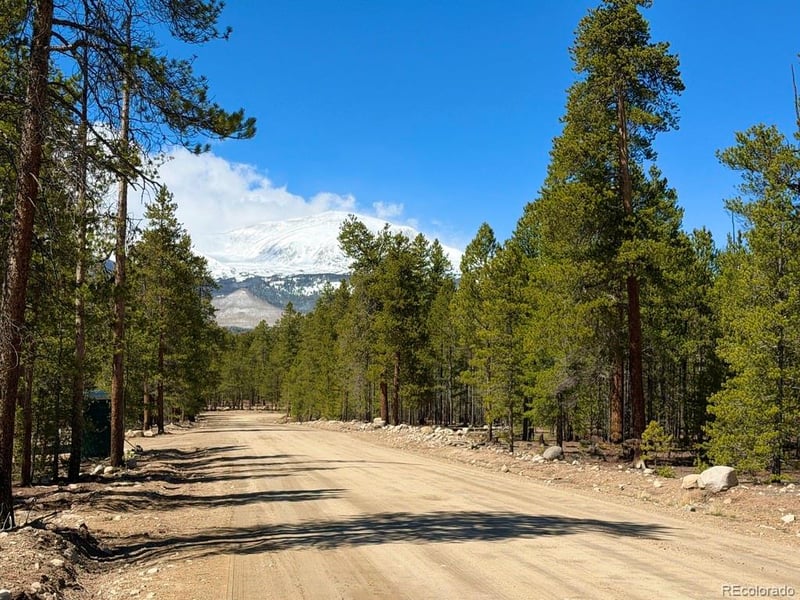 360 Peak View Dr, Leadville, CO 80461