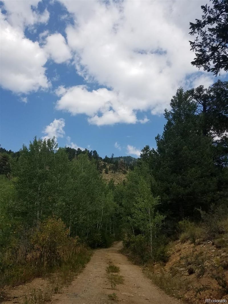 6194 Pyrenees Trl, Golden, CO 80403