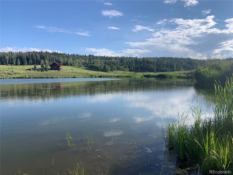 205 Lost Valley Dr, Creede, CO 81130