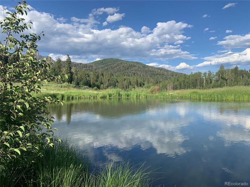 205 Lost Valley Dr, Creede, CO 81130