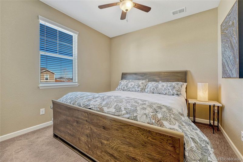 448 Blue Teal Dr, Castle Rock, CO 80104