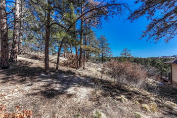 2111 Ramblewood Ct, Castle Rock, CO 80104